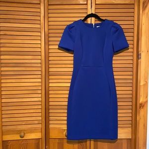 LAT CHANCE! NWOT Scuba Calvin Klein Sheath Dress